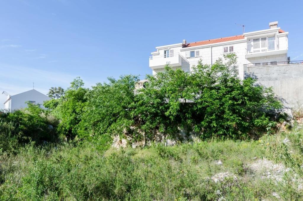 Dea Apartamento